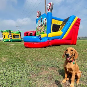 bounce house rental in Mansfield