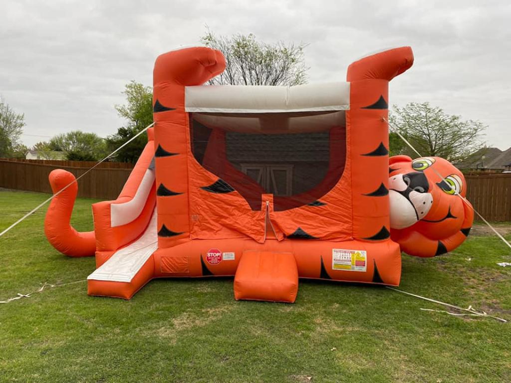 Bounce House Rental in Cedar Hill